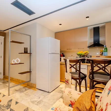- Brand-new Designer - Elevator Access - Steps From Taksim & Seaside Hotel *